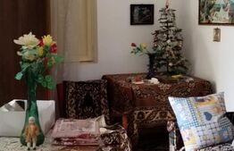 Casă Individuală 100mp utili, teren 7500mp Bezdead