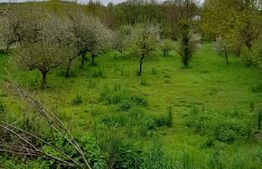 Casă Individuală 100mp utili, teren 7500mp Bezdead