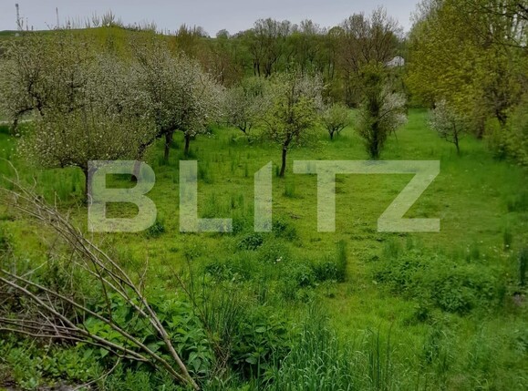 Casa de vânzare 5 camere Pucioasa - 120112CV | BLITZ Târgoviște | Poza7