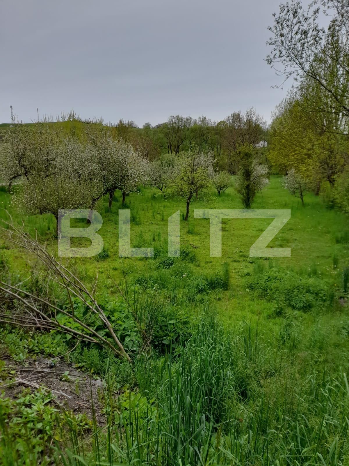 Casa de vânzare 5 camere Pucioasa - 120112CV | BLITZ Târgoviște | Poza7