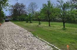 Teren intravilan 800mp, Valea Voievozilor