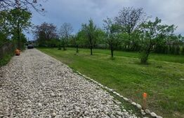 Teren intravilan 800mp, Valea Voievozilor