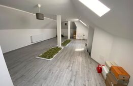 Casa 5 camere, 250mp, Exterior Vest