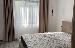 Casa 5 camere, 250mp, Exterior Vest