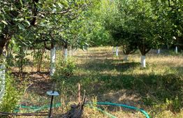 Casa individuala 100 mp, teren 1912 mp, Dragodana