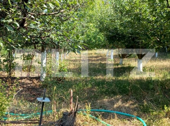 Casa de vânzare 4 camere Exterior Sud - 121358CV | BLITZ Târgoviște | Poza9