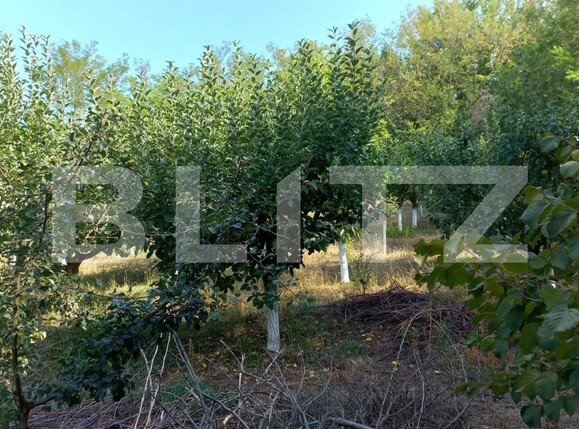 Casa de vânzare 4 camere Exterior Sud - 121358CV | BLITZ Târgoviște | Poza8