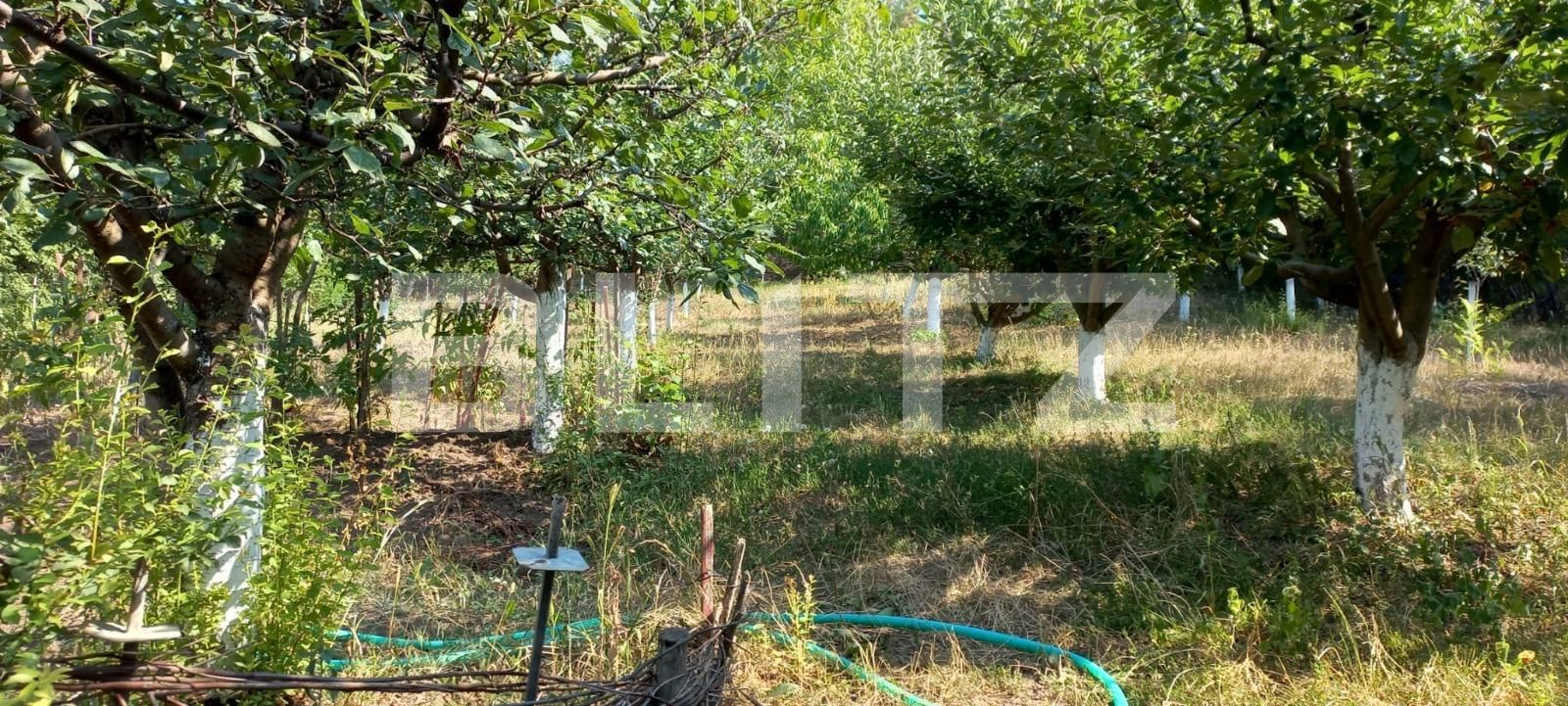 Casa de vânzare 4 camere Exterior Sud - 121358CV | BLITZ Târgoviște | Poza9