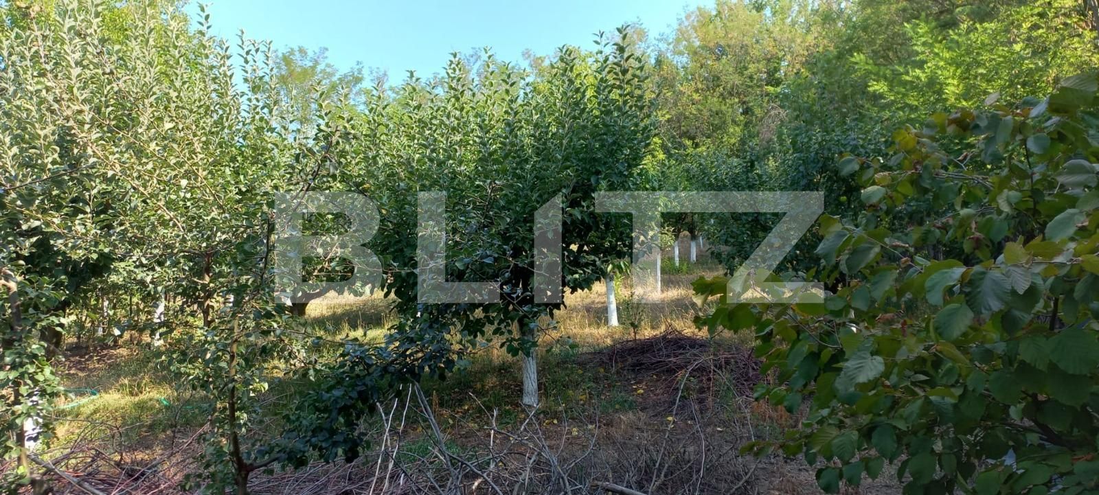 Casa de vânzare 4 camere Exterior Sud - 121358CV | BLITZ Târgoviște | Poza8