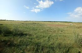 Teren intravilan 5000 mp, Laminorului