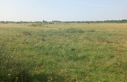 Teren intravilan 5000 mp, Laminorului