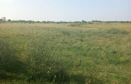 Teren intravilan 5000 mp, Laminorului