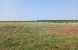 Teren intravilan 5000 mp, Laminorului