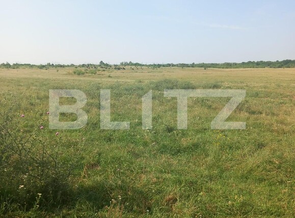 Teren de vânzare Industriala - 121366TV | BLITZ Târgoviște | Poza3