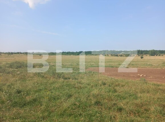 Teren de vânzare Industriala - 121366TV | BLITZ Târgoviște | Poza2