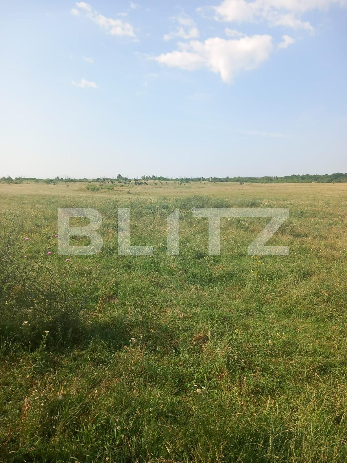 Teren de vânzare Industriala - 121366TV | BLITZ Târgoviște | Poza3