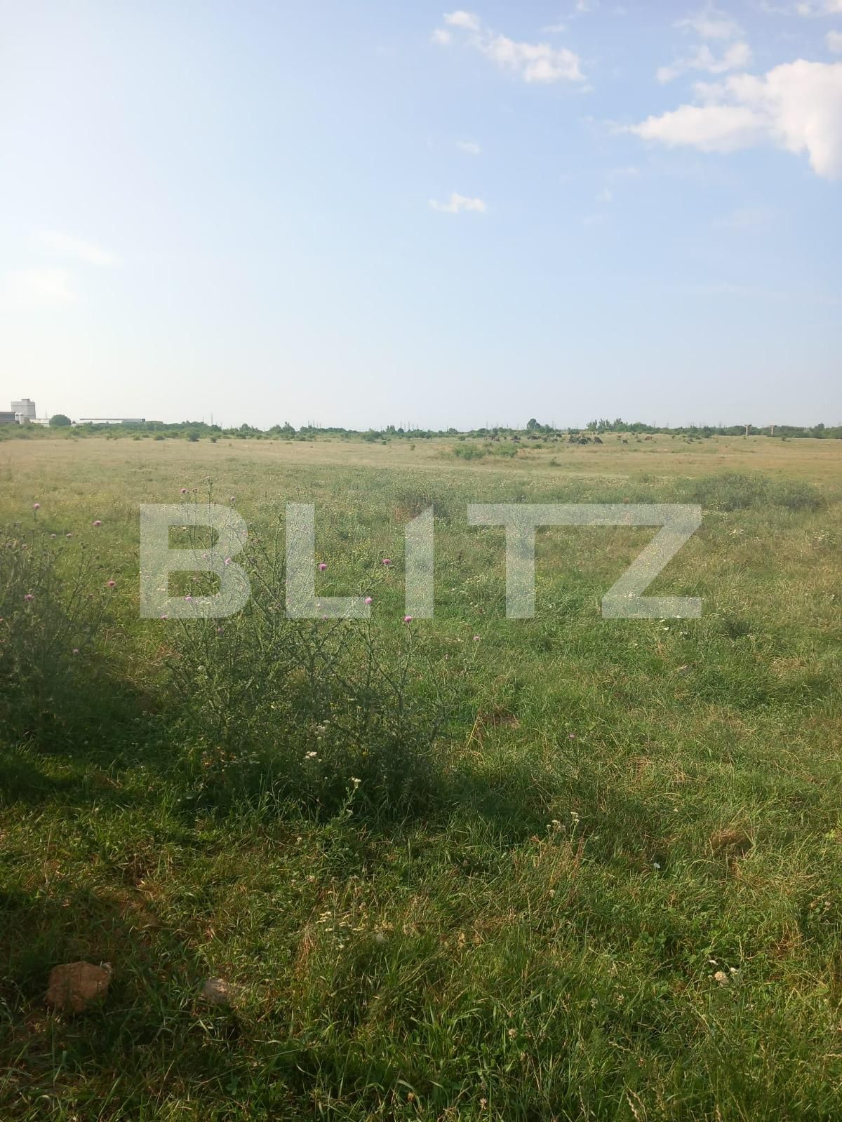 Teren de vânzare Industriala - 121366TV | BLITZ Târgoviște | Poza4