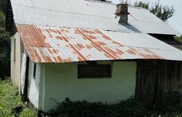 Casă 2 camere, 40mp, teren 704mp, Răzvad