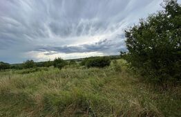 Oportunitate! Teren 10.000 mp, Bucsani 