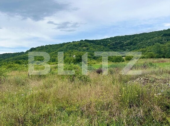 Teren de vânzare Exterior Sud - 122062TV | BLITZ Târgoviște | Poza1