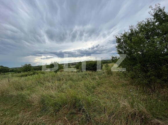 Teren de vânzare Exterior Sud - 122062TV | BLITZ Târgoviște | Poza2