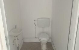 Spatiu comercial, 100mp, Dragodana