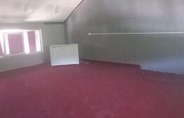 Spatiu comercial, 100mp, Dragodana