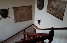 Vilă de lux pretabilă pentru pensiune, 4 camere, 180mp, Șuvița