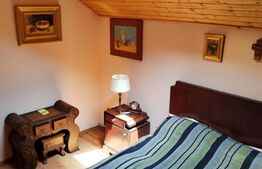 Vilă de lux pretabilă pentru pensiune, 4 camere, 180mp, Șuvița