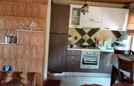 Vilă de lux pretabilă pentru pensiune, 4 camere, 180mp, Șuvița