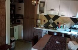 Vilă de lux pretabilă pentru pensiune, 4 camere, 180mp, Șuvița