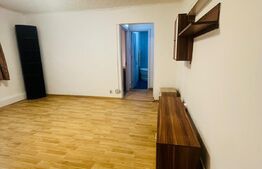 Apartament 2 camere, 40mp,parter, Tineretului