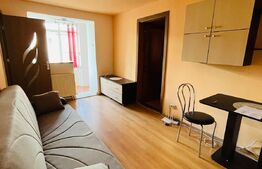 Apartament 2 camere, 30 mp, Micro 9