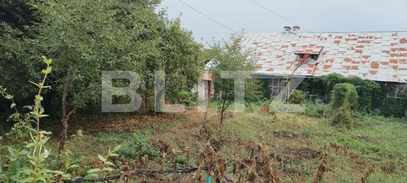 Casa de vânzare 4 camere Moreni - 124530CV | BLITZ Târgoviște | Poza2