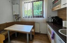 Casa familială renovată, 2 camere, 60mp, teren 320mp, Central