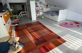 Spatiu comercial 800 mp, teren 1000 mp ,Caramidari