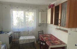 Apartament 2 camere, 50mp, balcon, Micro 11 