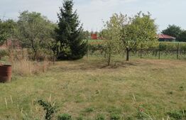 Casă individuală 240 mp, 1952mp teren, zona Cuza Vodă