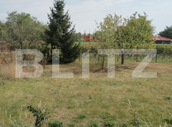 Casa de vânzare 8 camere Exterior Sud - 126305CV | BLITZ Târgoviște | Poza9