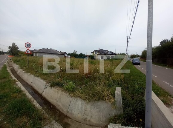 Teren de vânzare Priseaca - 127482TV | BLITZ Târgoviște | Poza3