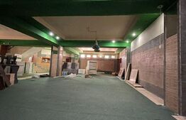 Spatiu  comericial , 450mp,  Pucioasa