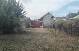 Casă individuală 117mp, teren 784mp Ghirdoveni