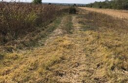 Teren 3222 mp, zona Dragomiresti