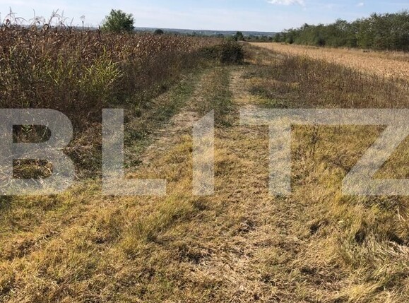Teren de vânzare Exterior Vest - 128295TV | BLITZ Târgoviște | Poza1