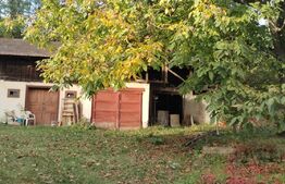 Casă familială individuală, 123mp, teren 5000mp, Gura Ocniței