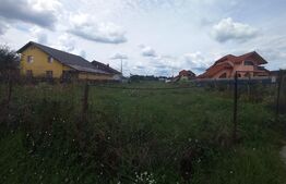 Teren intravilan, 2300 mp, Priseaca