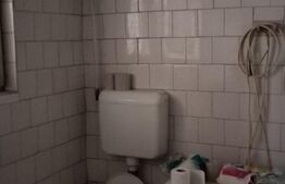 Casă P+1 Pretabil Spatiu Comercial, Micro 4