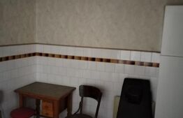 Casă P+1 Pretabil Spatiu Comercial, Micro 4