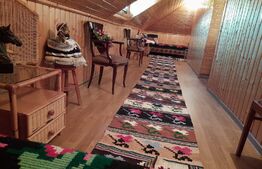 Vila de vanzare, oras Pucioasa