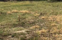 Oferta investitie!Teren intravilan 1600mp - Priseaca